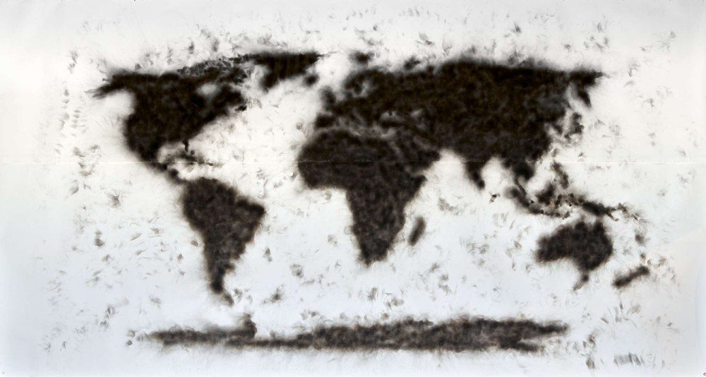 The World Belongs to Those Who Set it On Fire, 2016