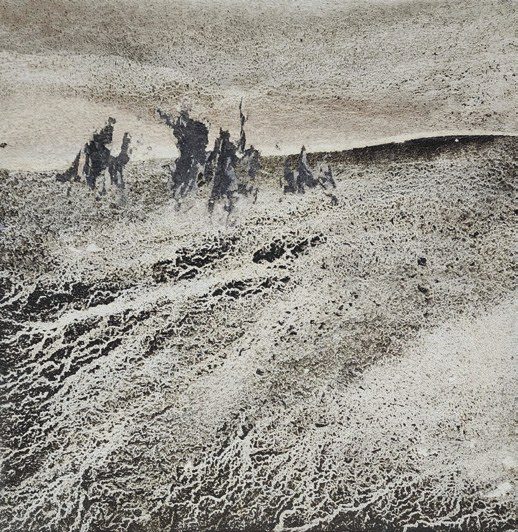 L'épreuve du désert, 2020