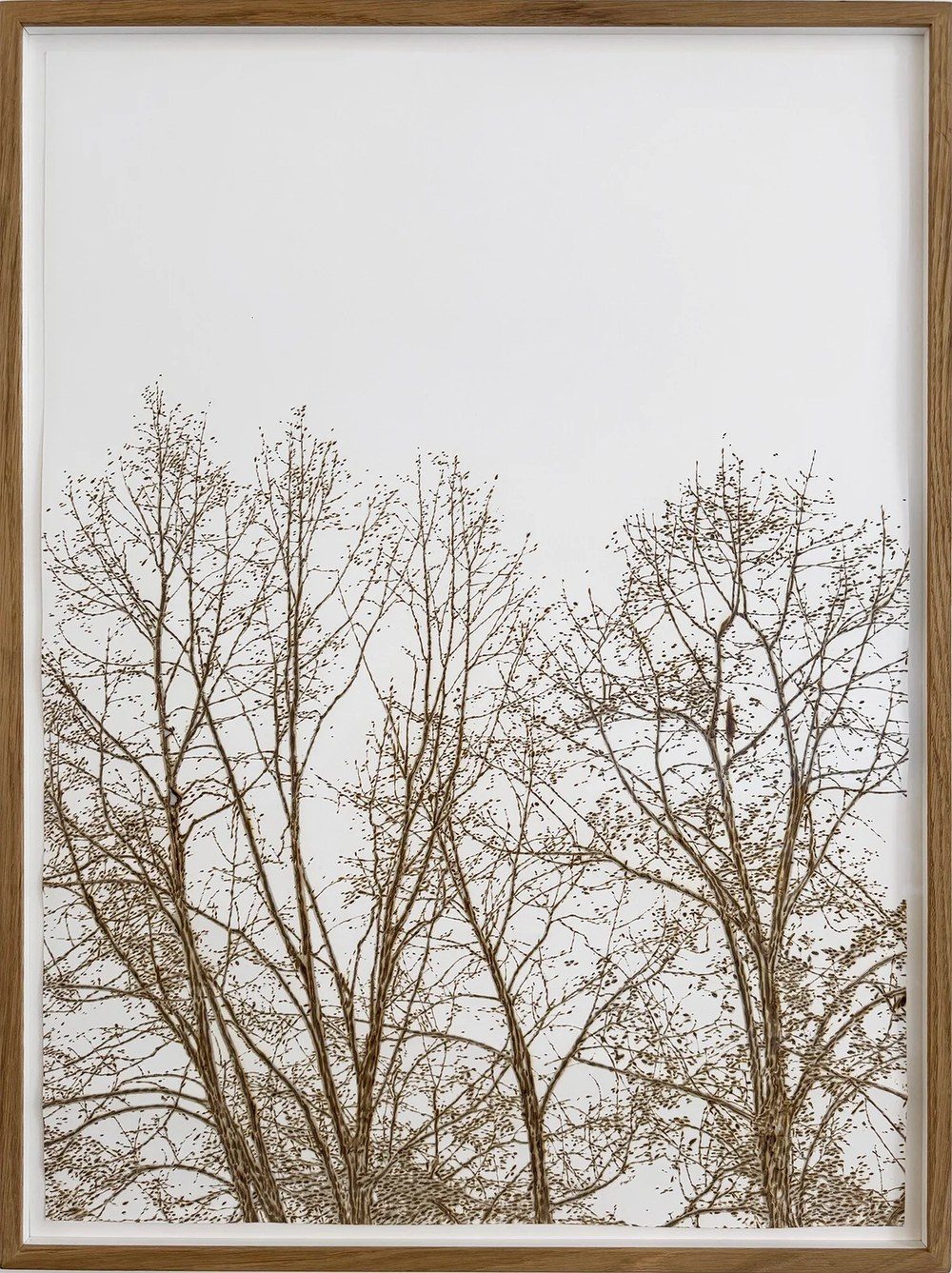 Les jeunes arbres