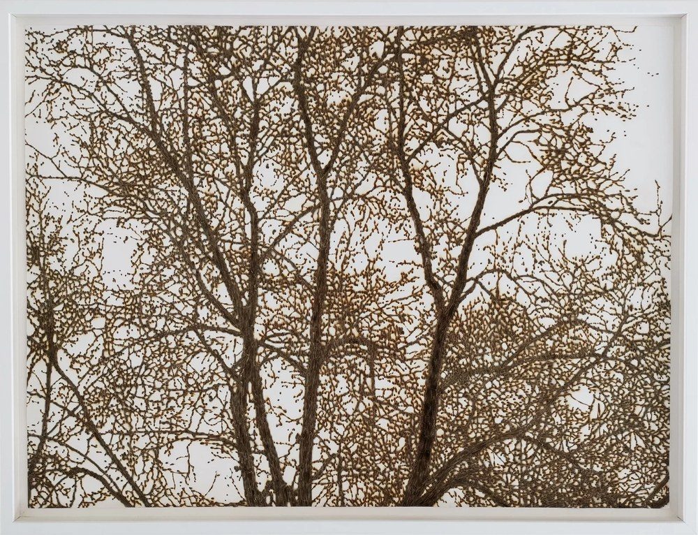 L'arbre