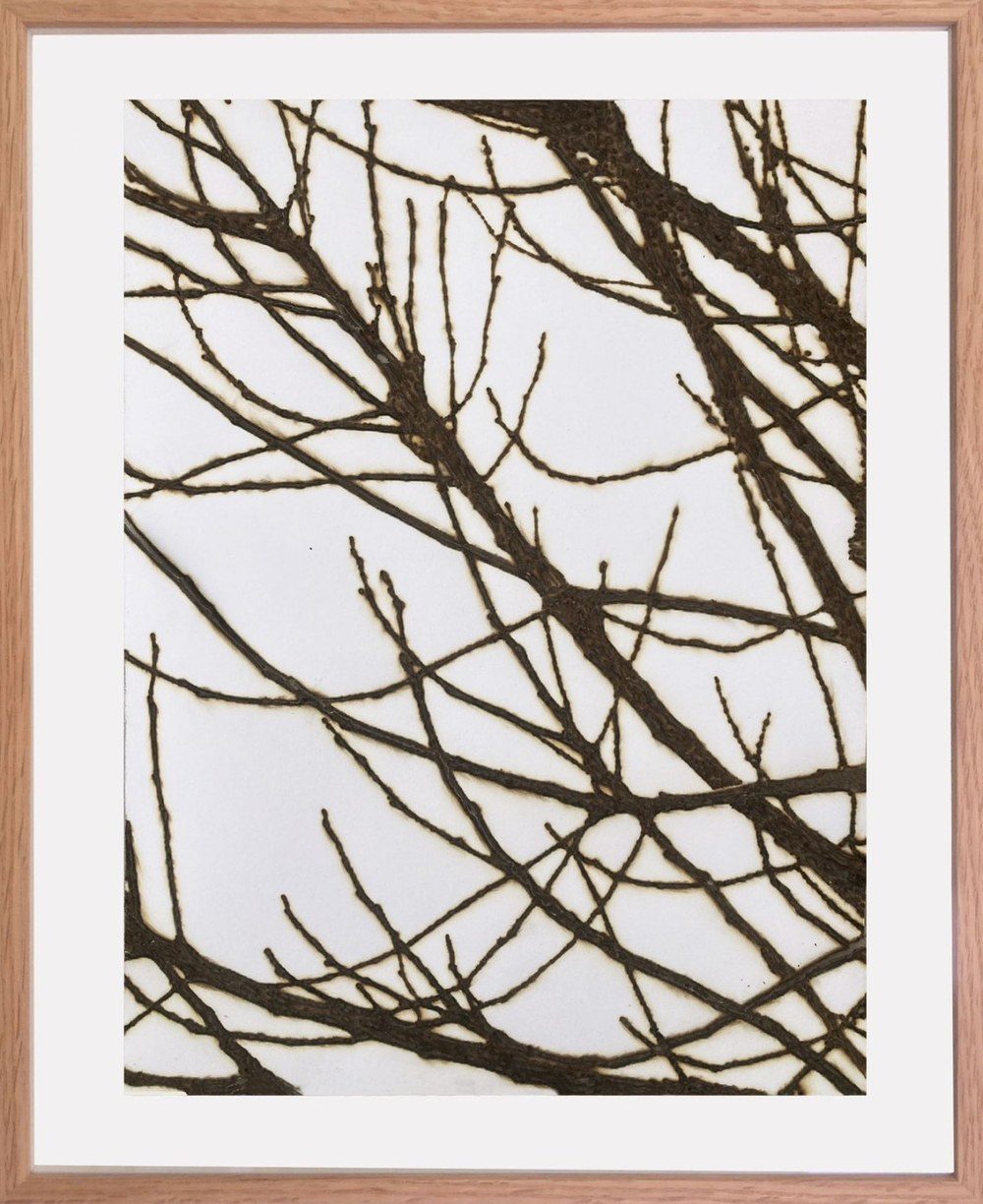 Les branchages