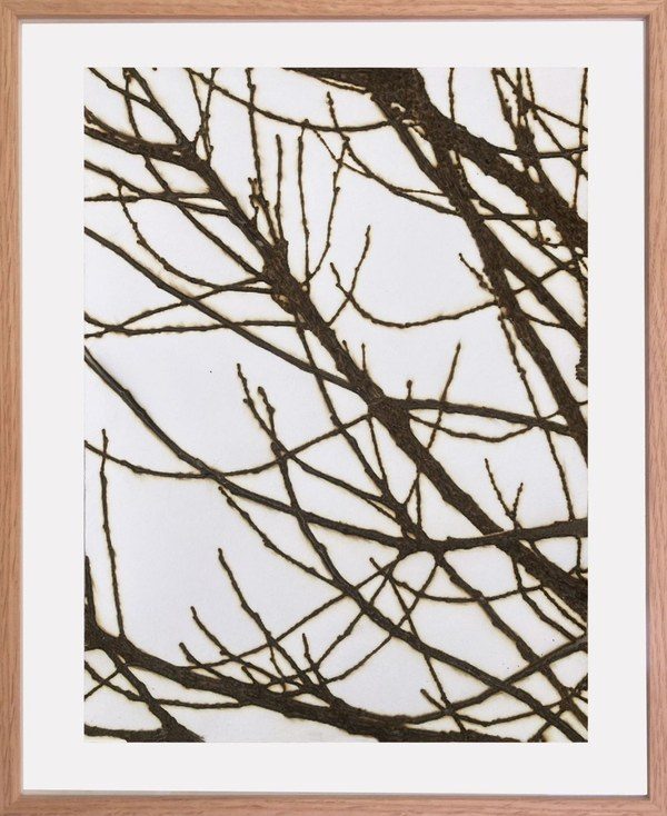 Les branchages