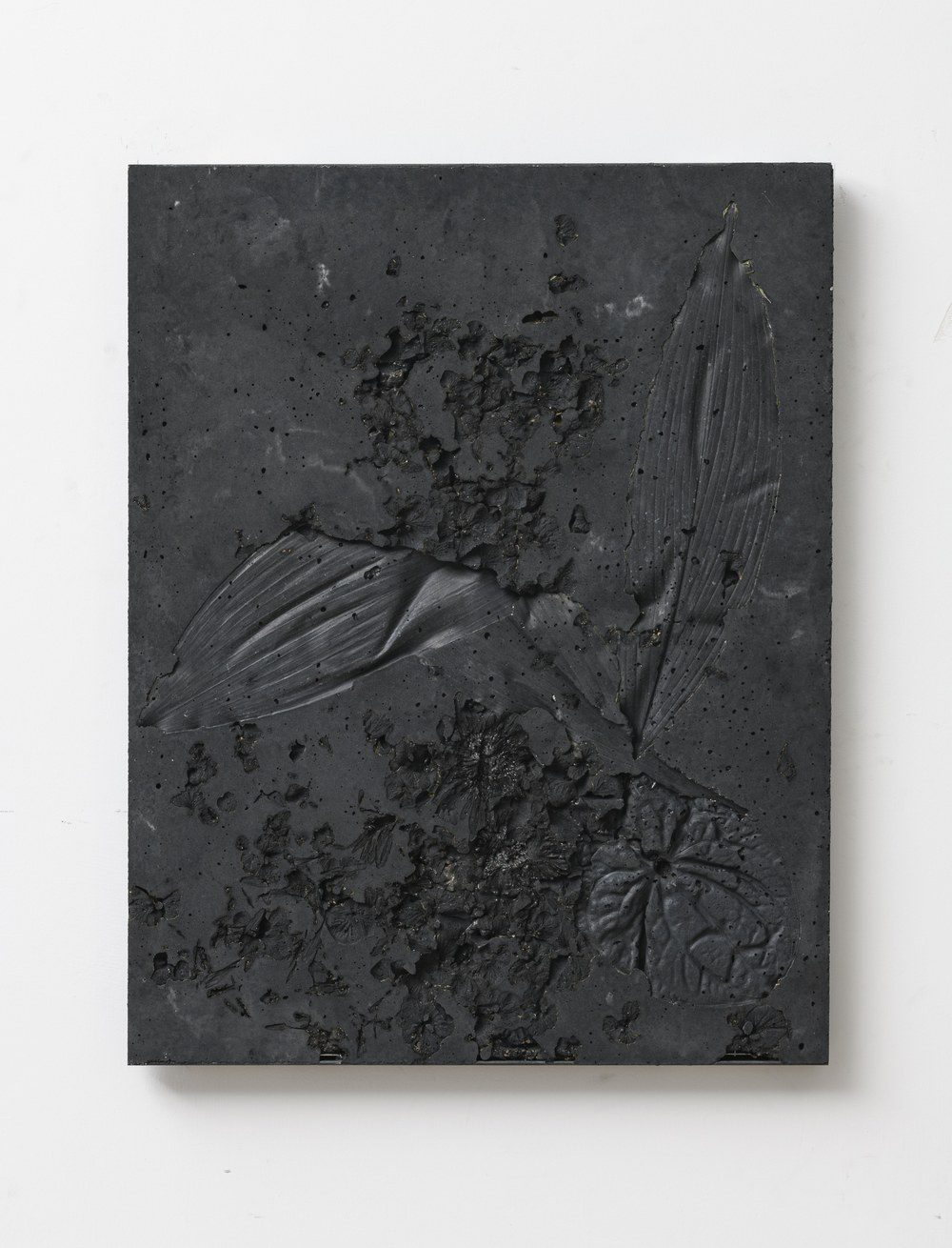 Panneau noir aux longues feuilles