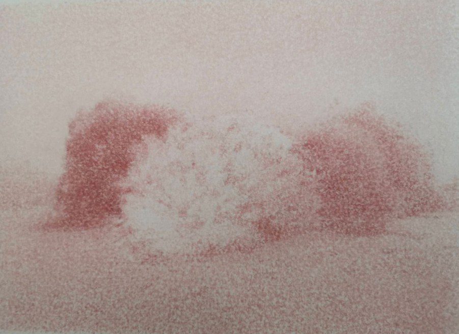 Arbuste n° 2, 2023