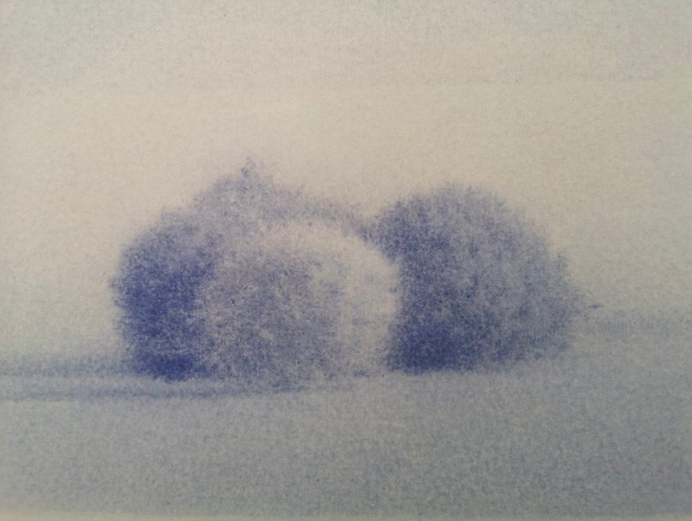 Arbuste n° 4, 2023