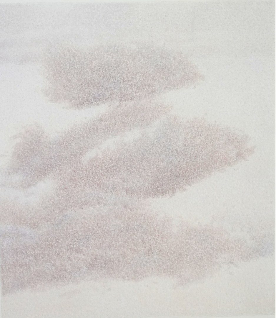 Parmi les herbes n° 6, 2024-2025