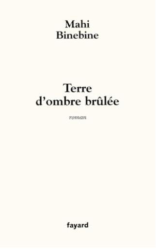 Terre d'ombre brûlée