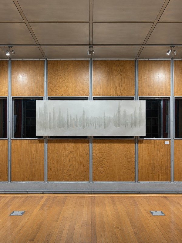 Shan Weijun — Vue d'exposition